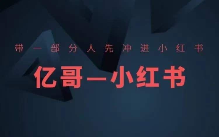 ​​带一部分人先冲进小红书，小红书开店、选品、爆款裂变-万象聊项目