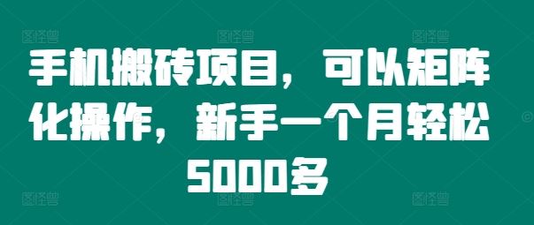 手机搬砖项目，可以矩阵化操作，新手一个月轻松5000多-万象聊项目