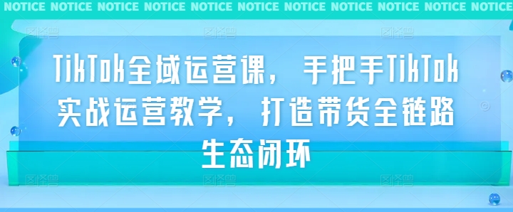 TikTok全域运营课，手把手TikTok实战运营教学，打造带货全链路生态闭环-万象聊项目