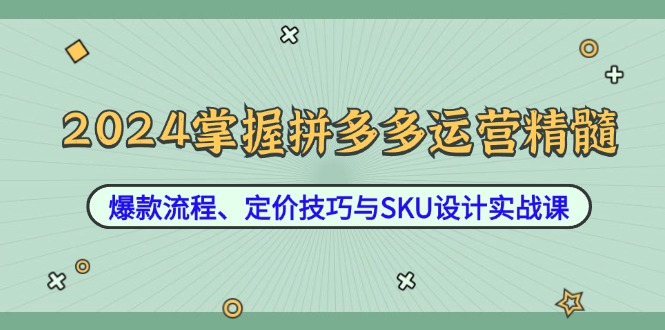 2024掌握拼多多运营精髓：爆款流程、定价技巧与SKU设计实战课-万象聊项目