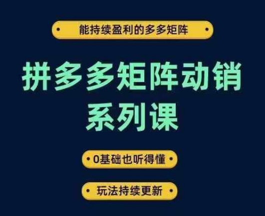 拼多多矩阵动销系列课，能持续盈利的多多矩阵，0基础也听得懂，玩法持续更新-万象聊项目
