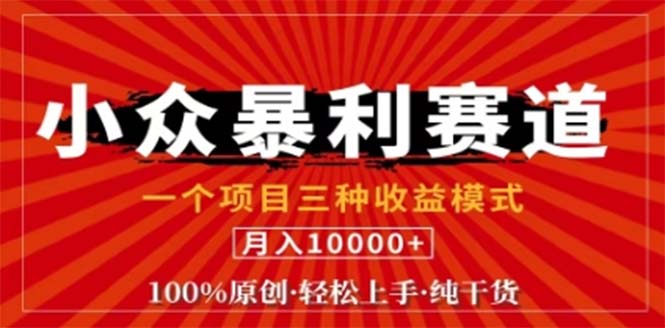 视频号最新爆火赛道，三种可收益模式，0粉新号条条原创条条热门 日入1000+-万象聊项目