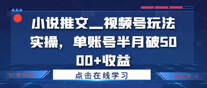 小说推文—视频号玩法实操，单账号半月破5000+收益-万象聊项目