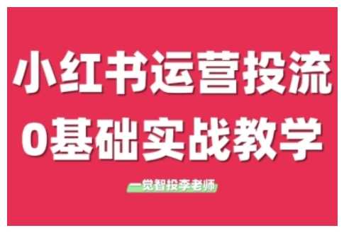 小红书运营投流，小红书广告投放从0到1的实战课，学完即可开始投放-万象聊项目