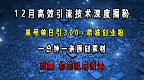 最新高效引流技术深度揭秘 ，单号单日引300+精准创业粉，一分钟一条原创素材，引爆你的私域流量-万象聊项目