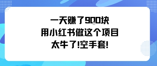 一天挣了9张用小红书做这个项目太牛了，空手套-万象聊项目