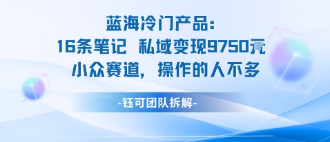 蓝海项目：16条笔记私域变现9750米小众赛道操作的人不多-万象聊项目