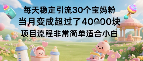每天稳定引流30个宝妈粉当月变成超过了1W+项目流程非常简单适合小白-万象聊项目