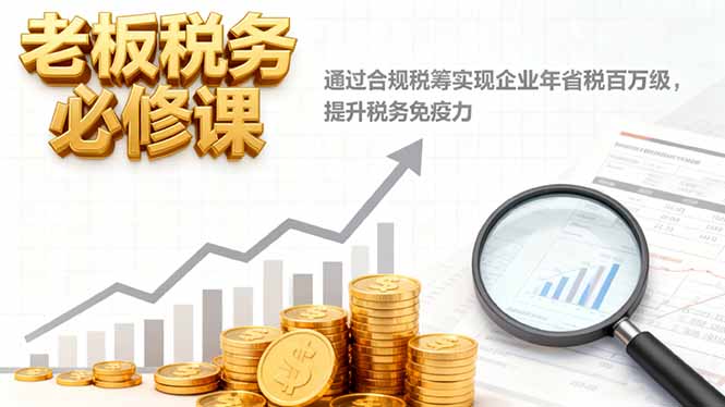 老板税务必修课，通过合规税筹实现企业年省税百万级，提升税务免疫力-万象聊项目