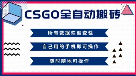 CSGO全自动搬砖，年底钱回家好项目，当天可拿到结果，新手小白轻松月入1W+【揭秘】-万象聊项目