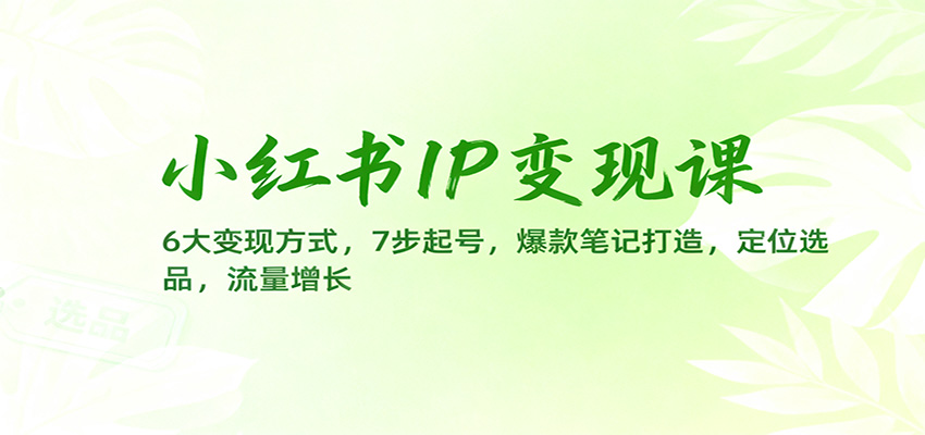 小红书IP变现课：6大变现方式，7步起号，爆款笔记打造，定位选品，流量增长-万象聊项目