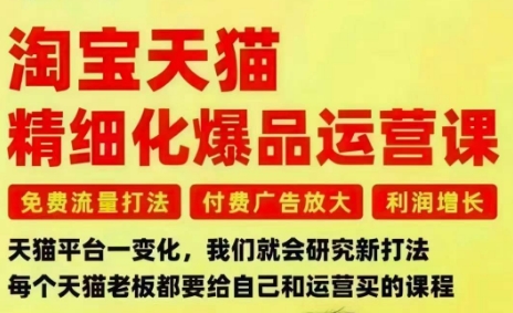 淘宝天猫精细化爆品运营课，免费流量打法-付费广告放大-利润增长-三大核心痛点，一次全部解决-万象聊项目
