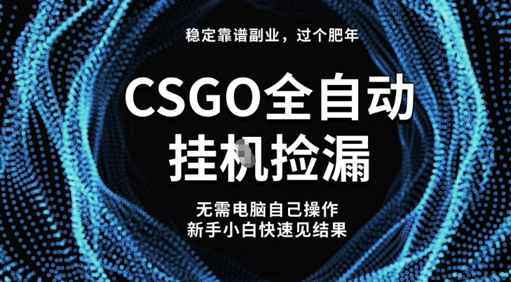 【稳定副业】全球最热门游戏CSGO全自动捡漏，最新玩法，新手小白日入5张+【揭秘】-万象聊项目