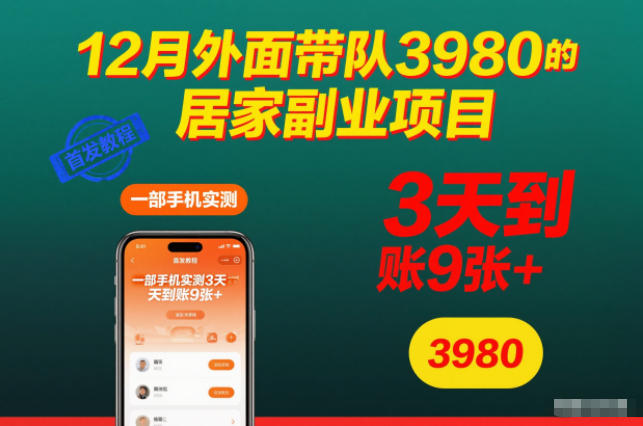 12月外面带队3980的居家副业项目，一部手机实测3天到账9张+，首发教程【揭秘】-万象聊项目