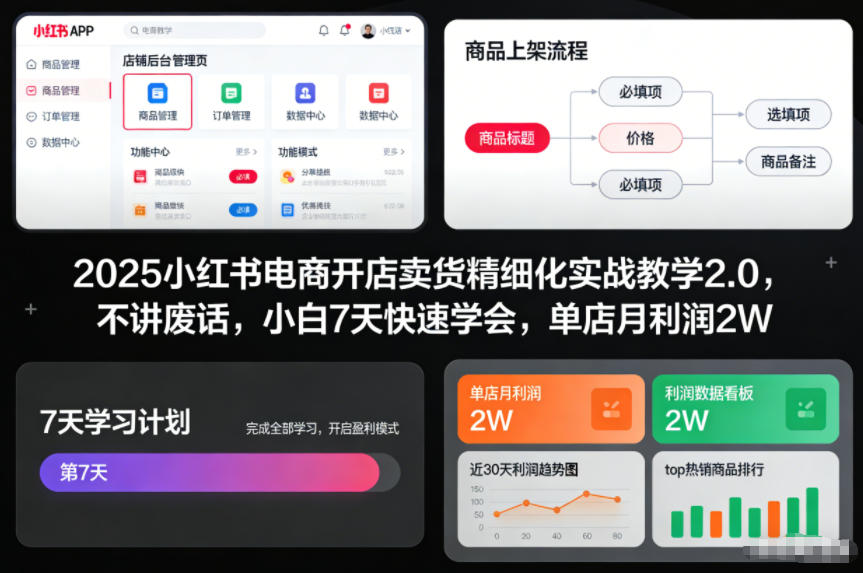 2025小红书电商开店卖货精细化实战教学2.0，不讲废话，小白7天快速学会，单店月利润2W-万象聊项目