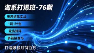 淘系打爆班-76期，无界矩阵实战，1词1计划、竞品矩阵、多链接赛马，打造爆款月销百万-万象聊项目