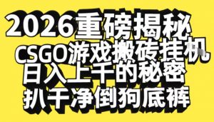 2026开年重磅解密,CSGO游戏搬砖挂G日入1k+的秘密,把倒狗的底裤扒干【揭秘】-万象聊项目