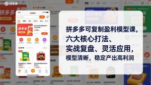 拼多多可复制盈利模型课,六大核心打法、实战复盘、灵活应用,模型清晰,稳定产出高利润-万象聊项目