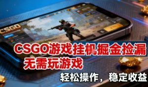 CSGO游戏挂G掘金捡漏,不需要玩游戏,操作简单,收益稳定【揭秘】-万象聊项目