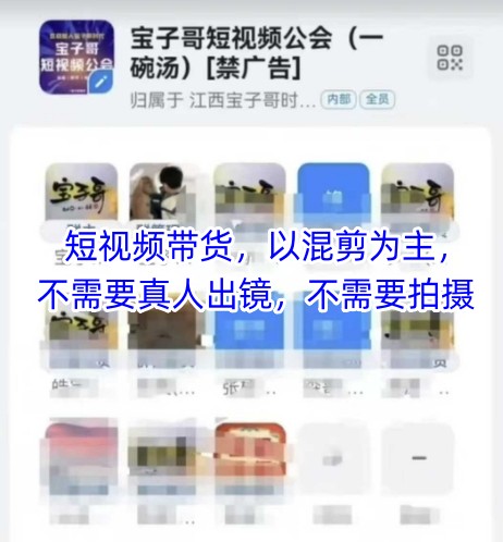 宝子哥头部团队短视频带货，以混剪为主，不需要真人出镜，不需要拍摄【更新12月】-万象聊项目
