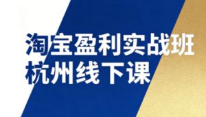 淘宝盈利实战班杭州线下课12月26-28日(音频+字幕)，帮你掌握SOP流程+12门核心技术-万象聊项目