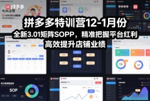 拼多多特训营12-1月份，全新3.01矩阵Sop，精准把握平台红利，高效提升店铺业绩-万象聊项目