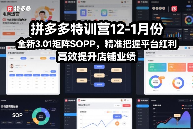 拼多多特训营12-1月份，全新3.01矩阵Sop，精准把握平台红利，高效提升店铺业绩-万象聊项目