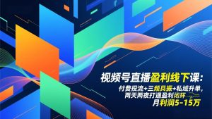 视频号直播盈利线下课:付费投流+三频共振+私域升单,两天两夜打通盈利闭环,月利润5-15万-万象聊项目
