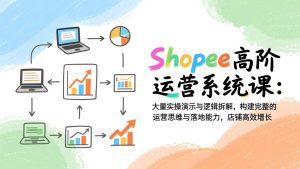 Shopee高阶运营系统课:大量实操演示与逻辑拆解,构建完整的运营思维与落地能力,店铺高效增长-万象聊项目
