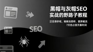 黑帽与灰帽SEO实战的野路子教程：泛目录秒收，蜘蛛池搭桥，霸屏截流，7天抢占首页暴利词-万象聊项目