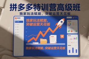 拼多多特训营高阶班，独家玩法赋能，突破运营天花板(更新26年1月)-万象聊项目