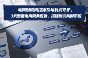 电商财税风控体系与利润守护，3天看懂电商税务逻辑，搭建利润防御系统-万象聊项目