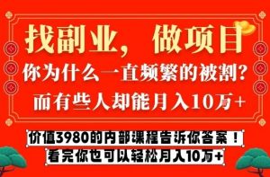 价值3980的网创内部课程，告诉你互联网创业月入10个W的秘密【揭秘】-万象聊项目