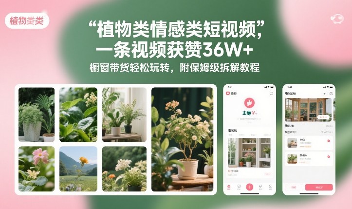 植物类情感类短视频，一条视频获赞36W+，橱窗带货轻松玩转，附保姆级拆解教程-万象聊项目