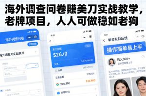 海外调查问卷賺美刀实战教学,老牌项目,人人可做稳如老狗-万象聊项目