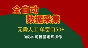 全自动数据采集,无需人工,单窗口50+,0成本可批量矩阵操作【揭秘】-万象聊项目