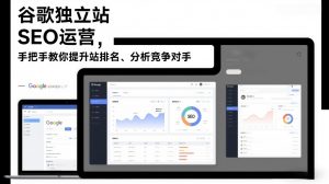 谷歌独立站SEO运营，手把手教你提升网站排名、分析竞争对手(更新2026)-万象聊项目