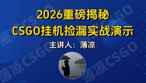 CSGO游戏挂机游戏搬砖最新升级，普通小白一部手机可日入300+当天见结果，支持验证-万象聊项目