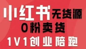 小红书无货源0粉电商课，开店准备、选品策略、笔记撰写、视频剪辑、数据分析、账号打造、资料文档(更新26年1月)-万象聊项目