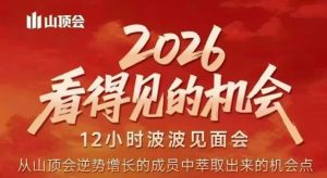 2026看得见的机会，剖析十几个实战案例，可直接抄作业，再优化迭代，内容超全，干货满满-万象聊项目
