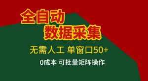 全自动数据采集项目，无需人工，单窗口可达50+收益，操作简单无难度，一个人也能轻松实现矩阵【揭秘】-万象聊项目