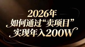站在2026年的十字路口:一个普通人如何通过卖项目实现年入200万-万象聊项目