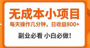 无成本小项目 每天操作几分钟，真实日收益800+ 副业必看 小白必做！-万象聊项目