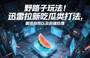 野路子玩法！迅雷拉新吃瓜类打法，截流自热以及后端处理-万象聊项目