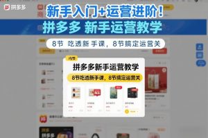 新手入门+运营进阶！拼多多新手运营教学，8节吃透新手课，8节搞定运营关-万象聊项目