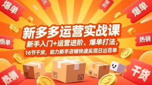 拼多多运营实战课,新手入门+运营进阶、爆单打法,16节干货,助力新手店铺快速实现日出百单-万象聊项目