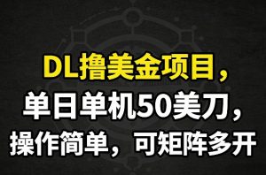 DL撸美金项目，单日单机50美刀，操作简单，可矩阵多开-万象聊项目