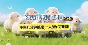 【新一期】小程序订阅_小白几分钟70-80r，可矩阵(已测到账)-万象聊项目