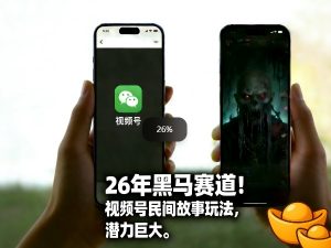 26年黑马赛道，视频号民间故事类玩法，潜力巨大，每日收益超5张-万象聊项目