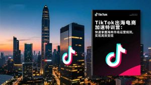 TikTok出海电商加速特训营-更新:快速掌握海外市场运营规则,实现高效变现-万象聊项目